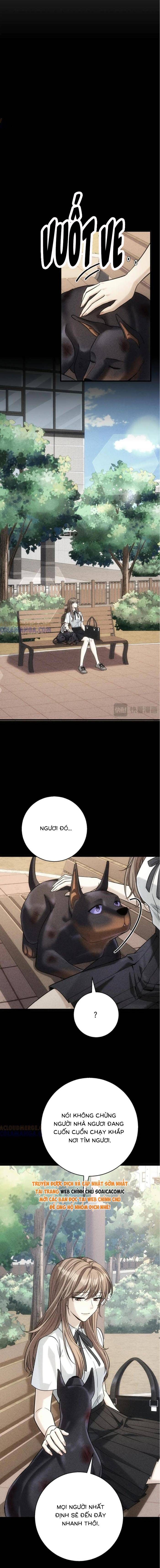 Tổng Tài Chó Chapter 47 - 8