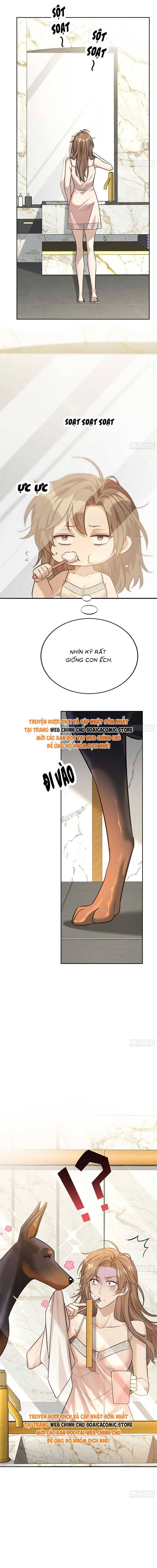 Tổng Tài Chó Chapter 6 - 2