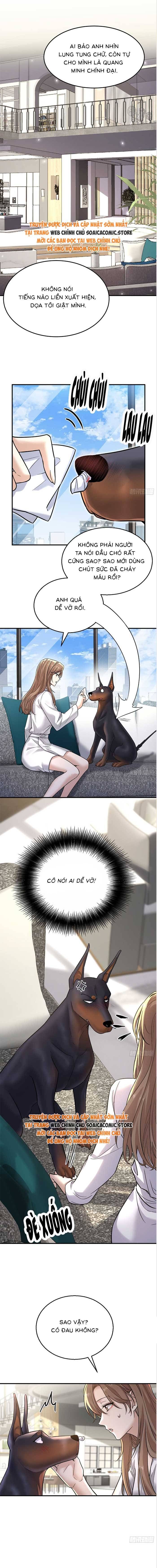 Tổng Tài Chó Chapter 6 - 11