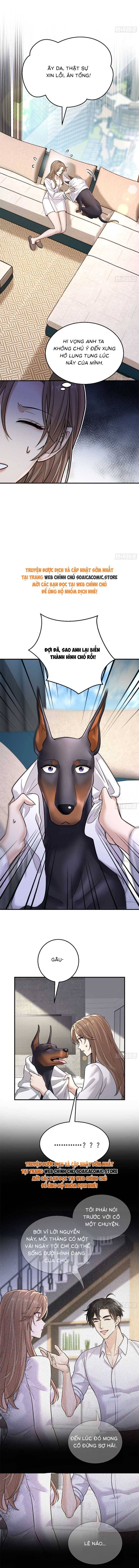 Tổng Tài Chó Chapter 6 - 8