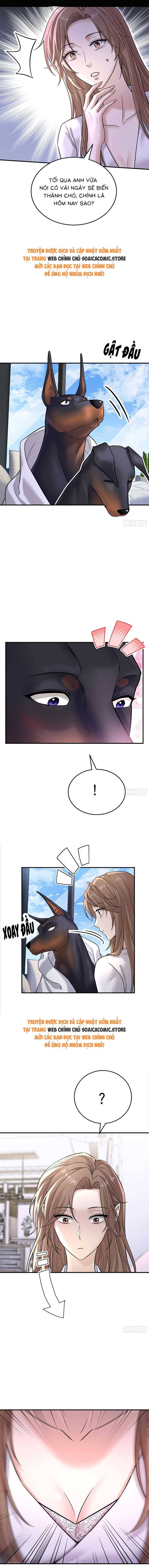 Tổng Tài Chó Chapter 6 - 9