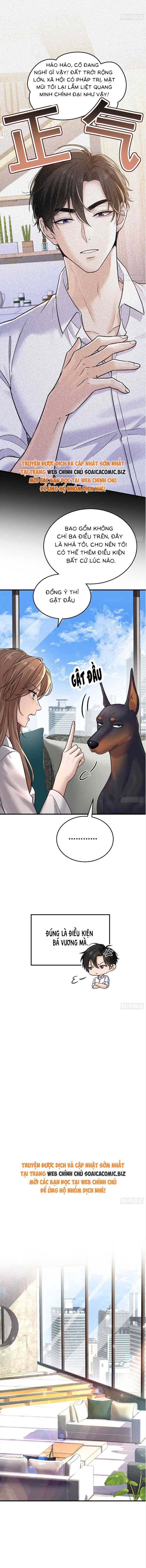 Tổng Tài Chó Chapter 7 - 2