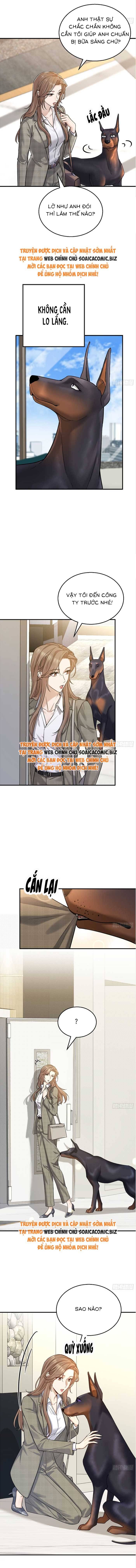 Tổng Tài Chó Chapter 7 - 3