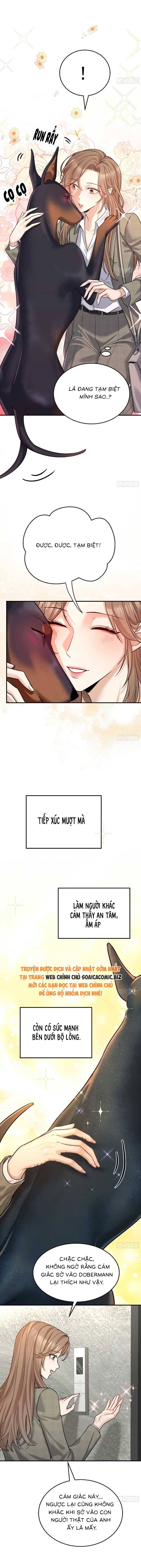 Tổng Tài Chó Chapter 7 - 4