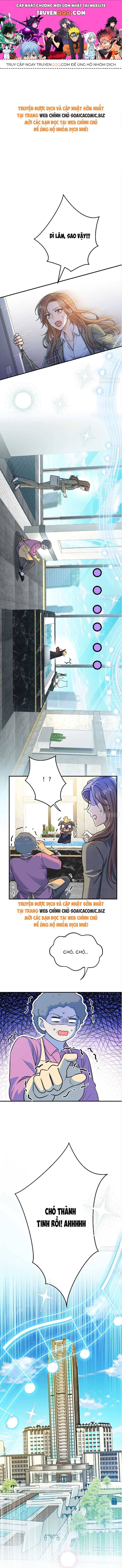 Tổng Tài Chó Chapter 8 - 1