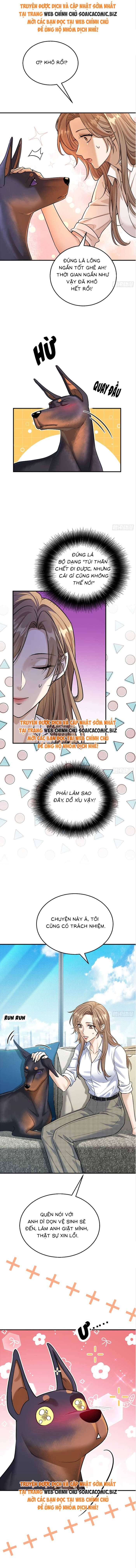Tổng Tài Chó Chapter 8 - 3