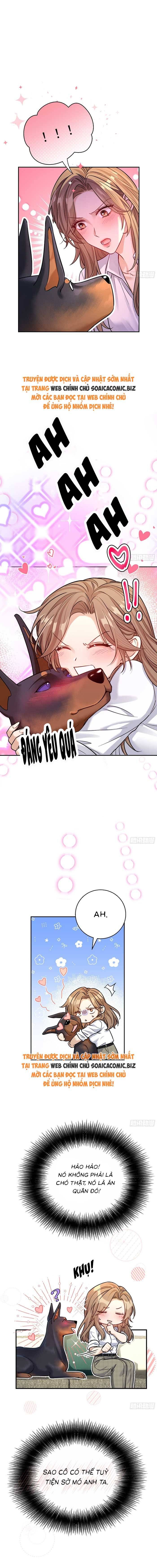 Tổng Tài Chó Chapter 8 - 4