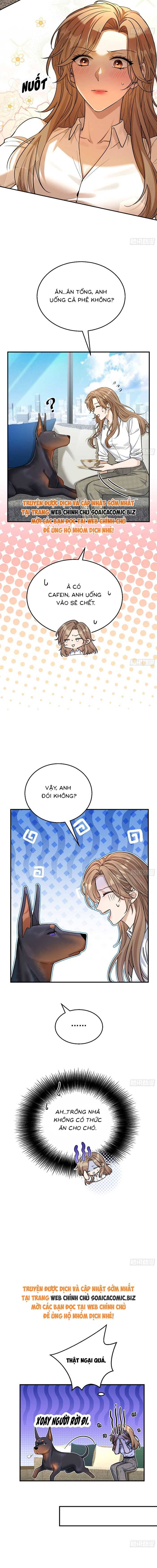 Tổng Tài Chó Chapter 8 - 6