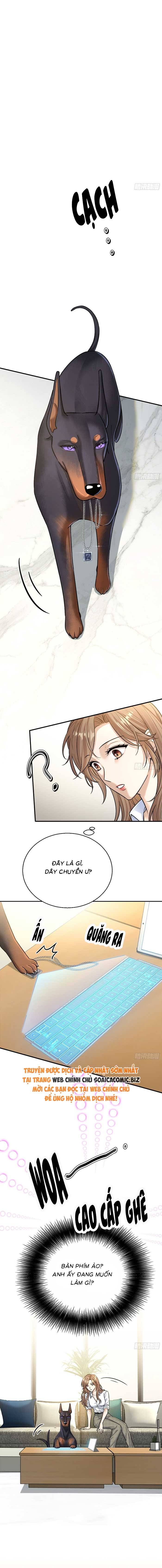 Tổng Tài Chó Chapter 8 - 7
