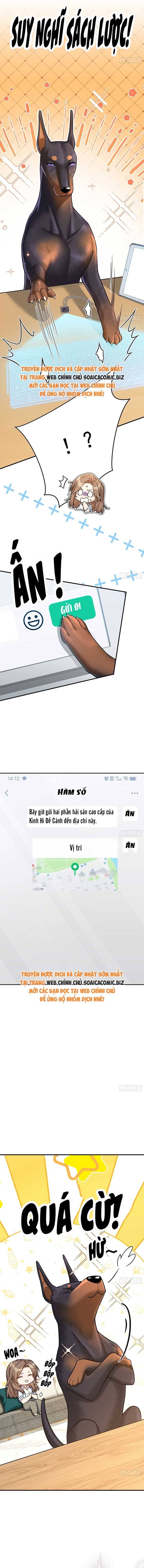 Tổng Tài Chó Chapter 8 - 8