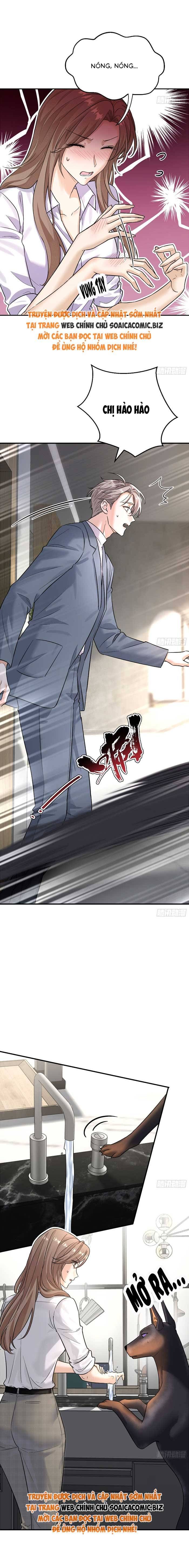 Tổng Tài Chó Chapter 9 - 5