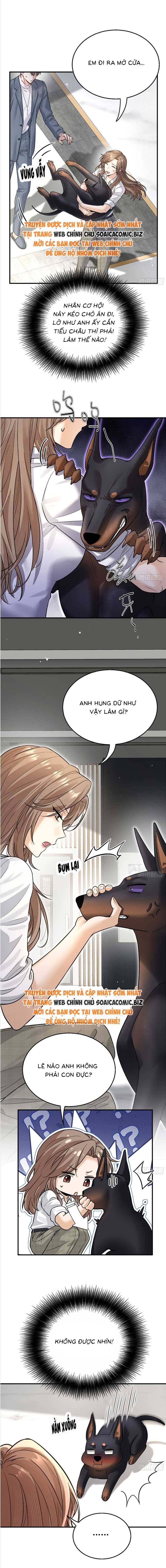 Tổng Tài Chó Chapter 9 - 9