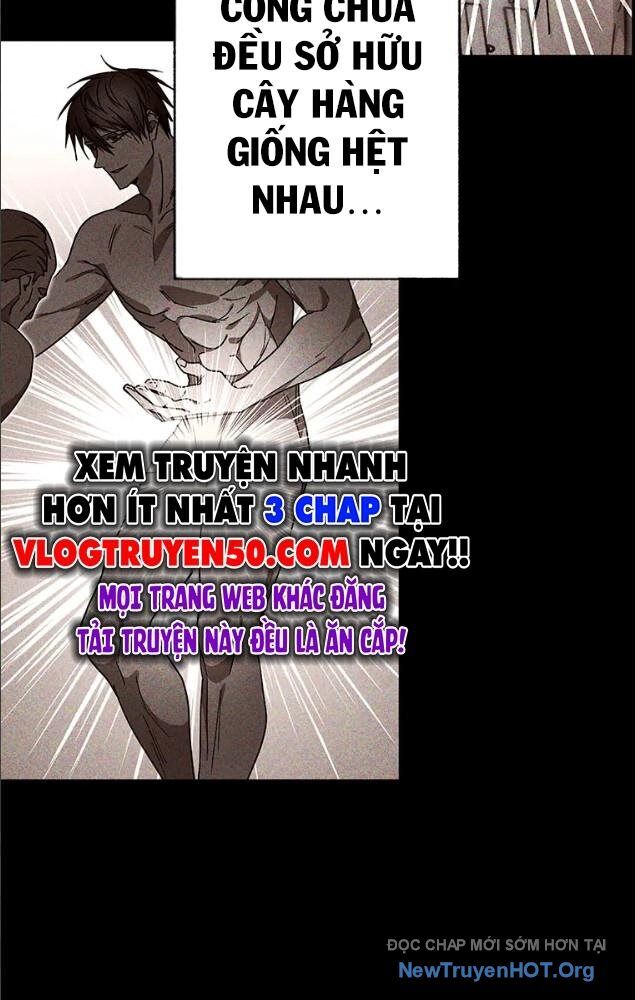 Quý Tộc Báo Thù Chapter 22 - 30