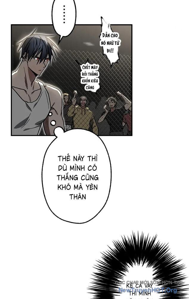 Quý Tộc Báo Thù Chapter 25 - 19