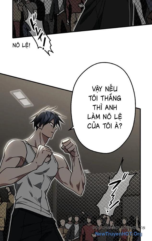 Quý Tộc Báo Thù Chapter 25 - 22