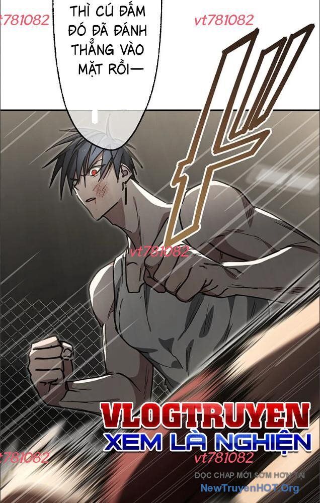 Quý Tộc Báo Thù Chapter 25 - 52