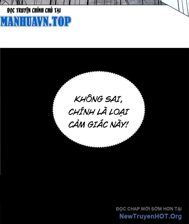 Ta Thành Vương Giả Từ Khắc Kim Chapter 39 - 40