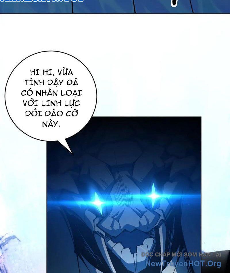 Ta Thành Vương Giả Từ Khắc Kim Chapter 40 - 59