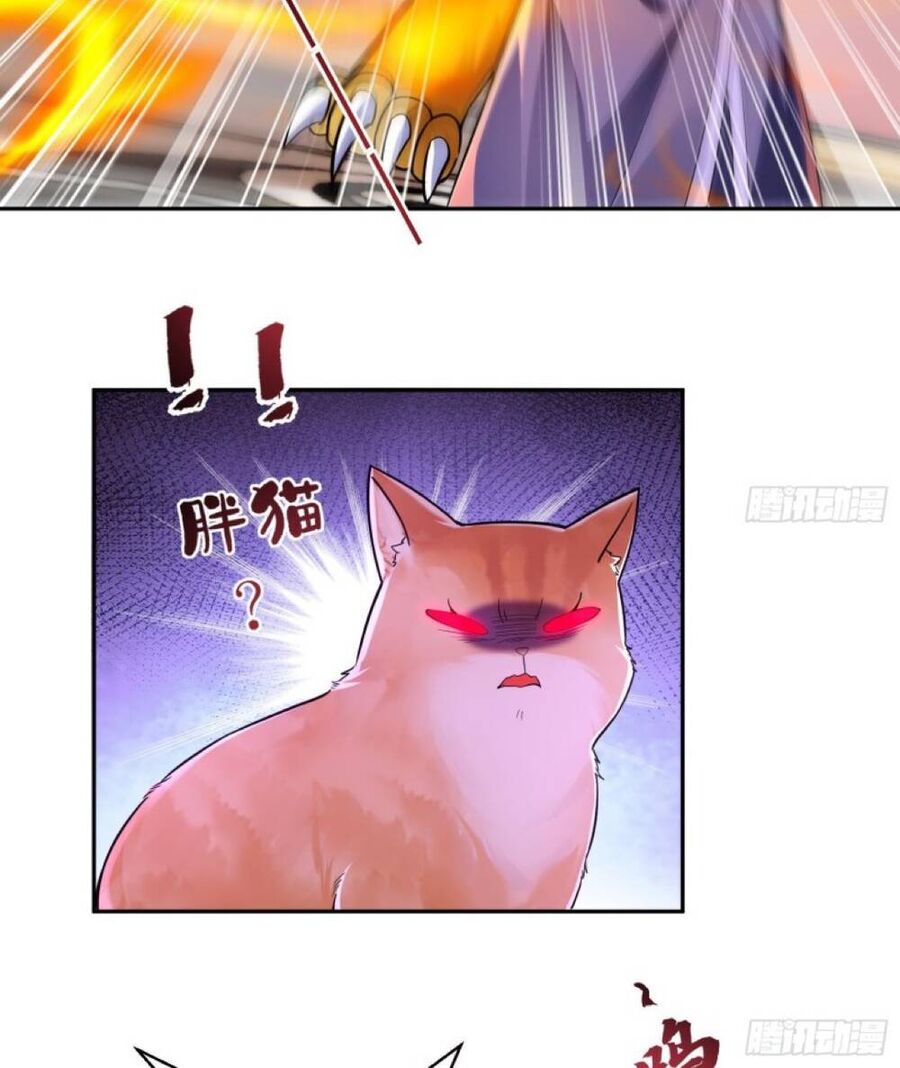 Thần Cấp Khế Ước : Bắt Đầu Với Một Con Mèo Chapter 2 - 12