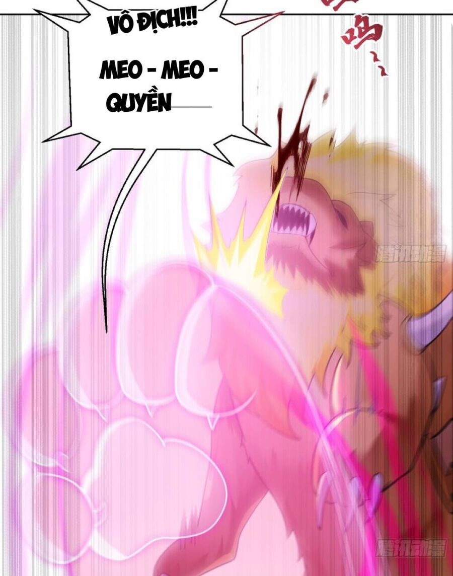 Thần Cấp Khế Ước : Bắt Đầu Với Một Con Mèo Chapter 2 - 13