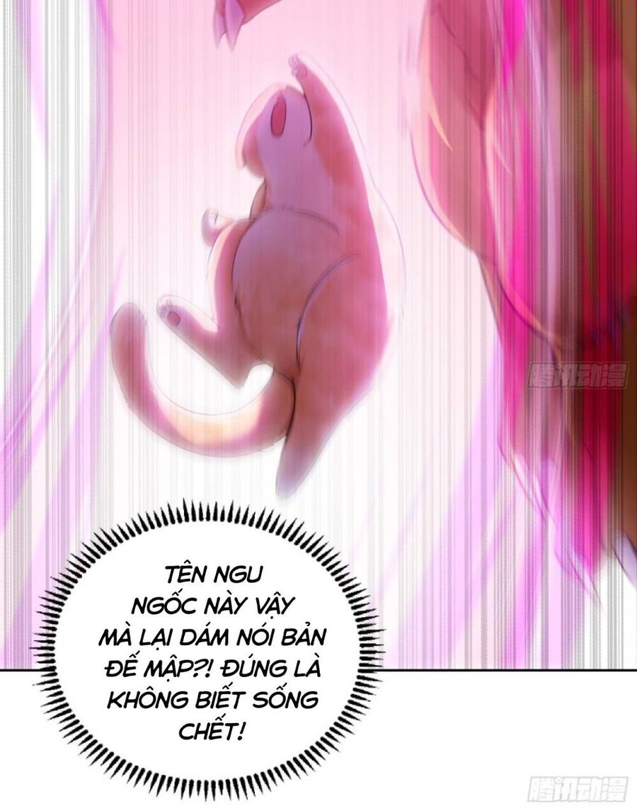 Thần Cấp Khế Ước : Bắt Đầu Với Một Con Mèo Chapter 2 - 14