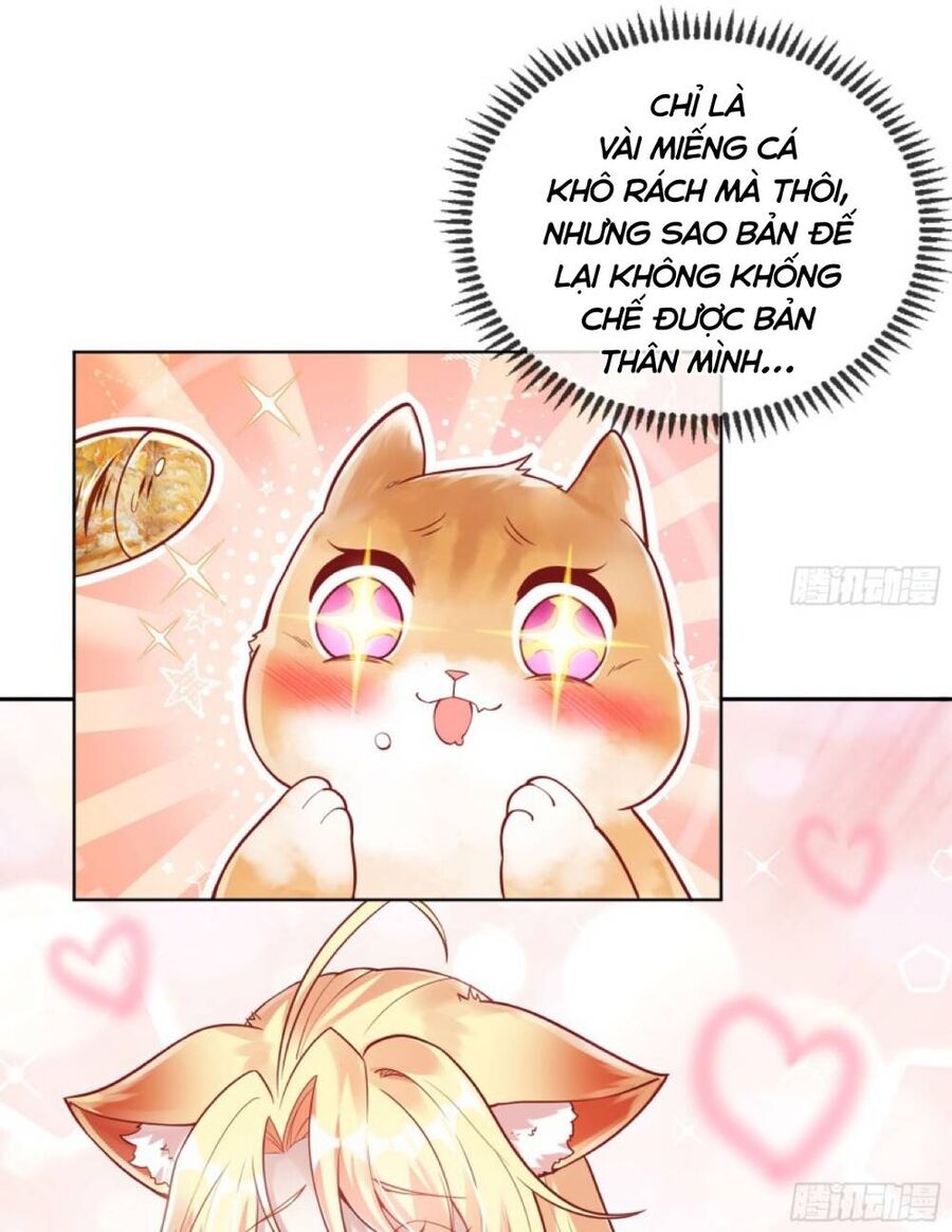 Thần Cấp Khế Ước : Bắt Đầu Với Một Con Mèo Chapter 2 - 27