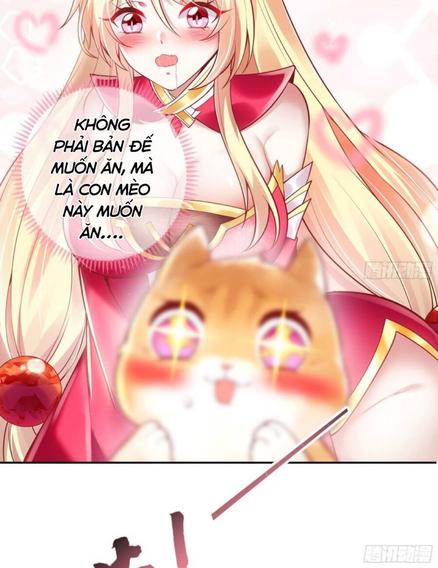 Thần Cấp Khế Ước : Bắt Đầu Với Một Con Mèo Chapter 2 - 28