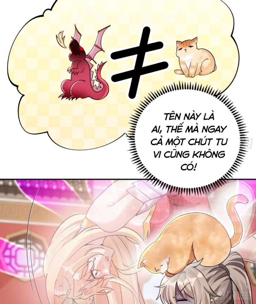 Thần Cấp Khế Ước : Bắt Đầu Với Một Con Mèo Chapter 2 - 5