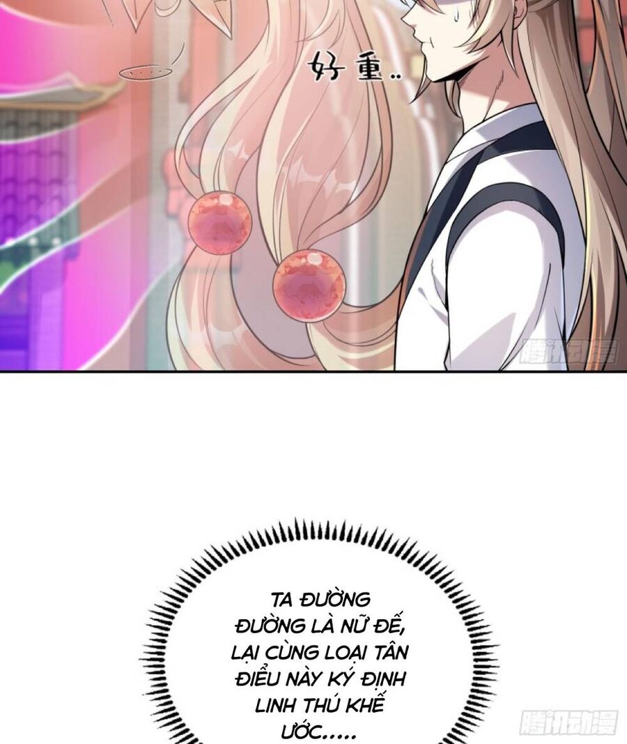 Thần Cấp Khế Ước : Bắt Đầu Với Một Con Mèo Chapter 2 - 6