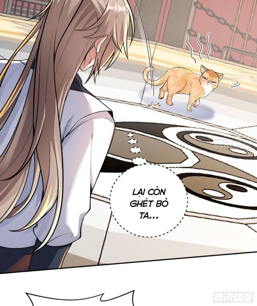 Thần Cấp Khế Ước : Bắt Đầu Với Một Con Mèo Chapter 2 - 8