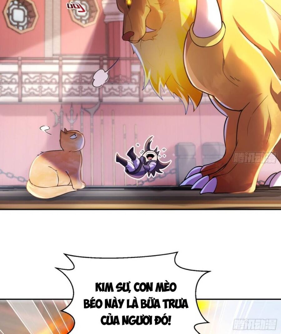 Thần Cấp Khế Ước : Bắt Đầu Với Một Con Mèo Chapter 2 - 10