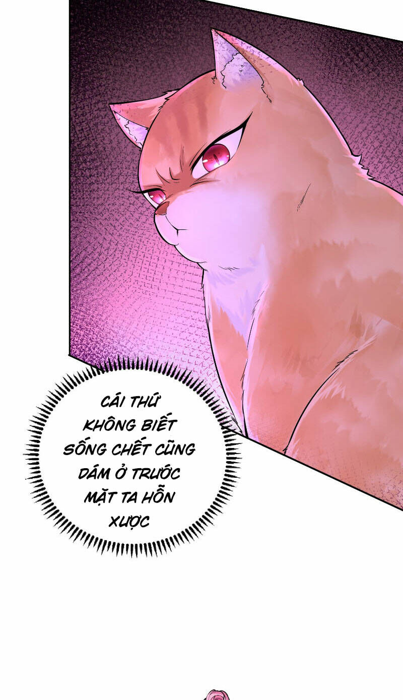 Thần Cấp Khế Ước : Bắt Đầu Với Một Con Mèo Chapter 3 - 6