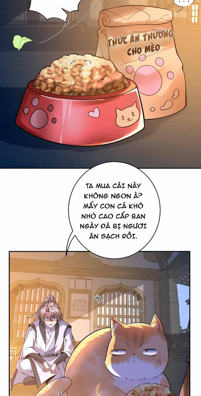 Thần Cấp Khế Ước : Bắt Đầu Với Một Con Mèo Chapter 4 - 12
