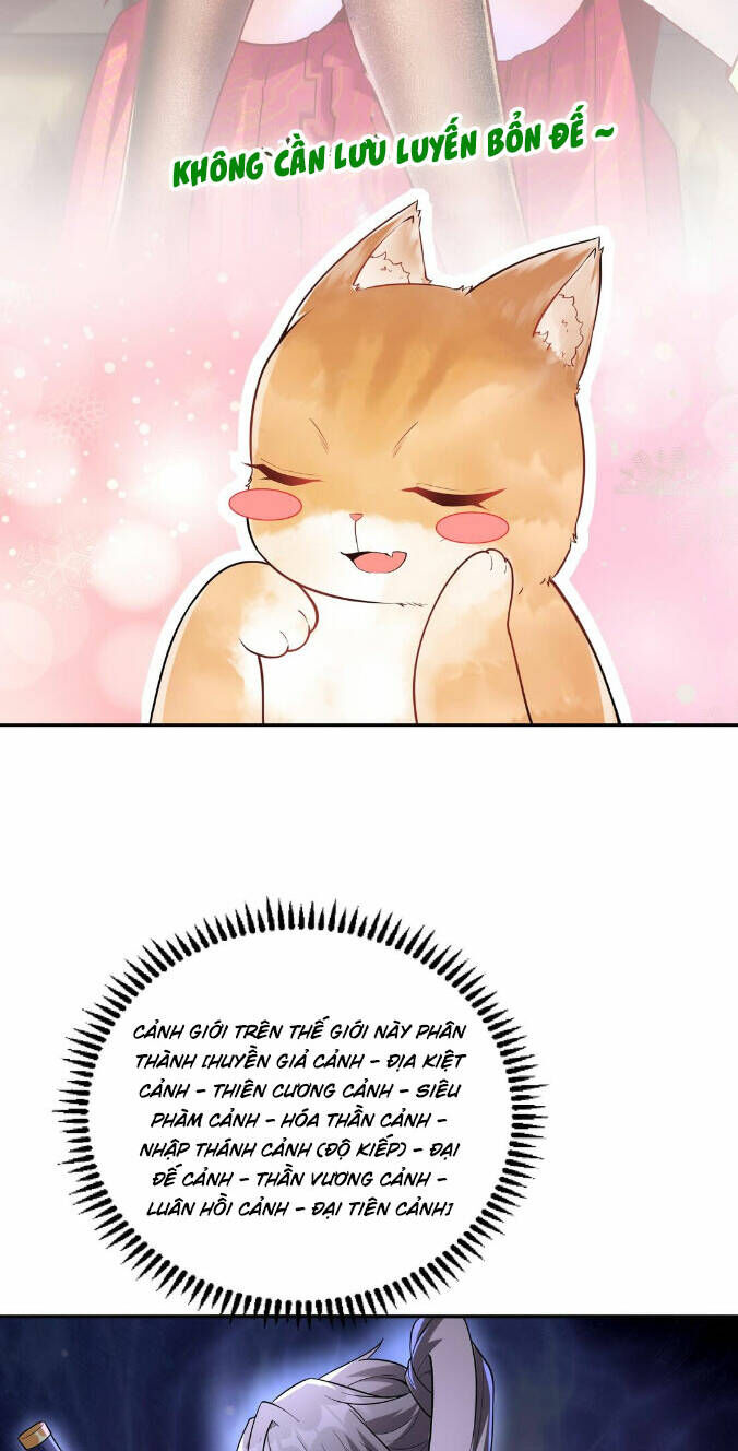 Thần Cấp Khế Ước : Bắt Đầu Với Một Con Mèo Chapter 4 - 18