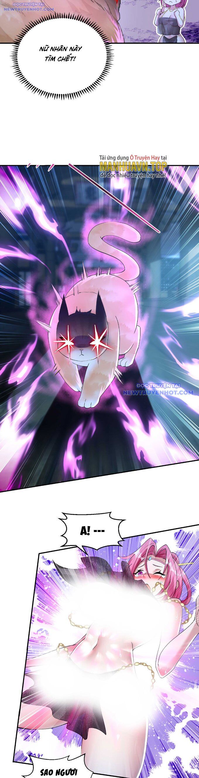 Thần Cấp Khế Ước : Bắt Đầu Với Một Con Mèo Chapter 6 - 6