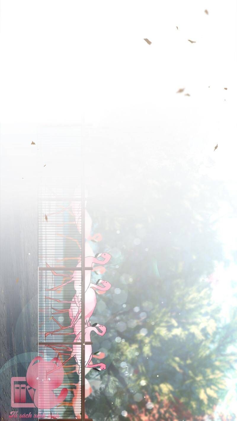 Bảo Mẫu Của Mafia Chapter 48 - 23