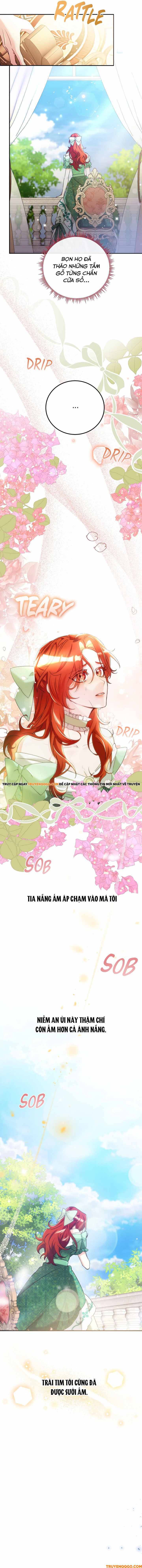 The Saintess Returns To The Emperor Chapter 11 - 13