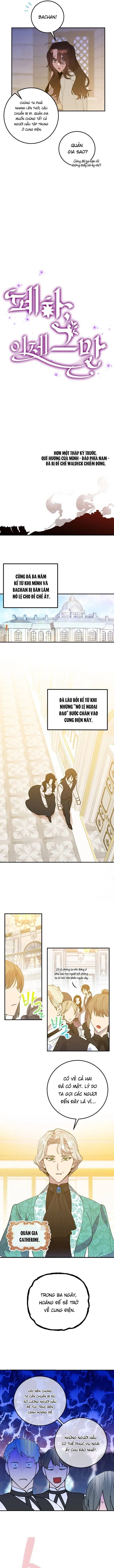 Your Majesty, Please Stop Now Chapter 1 - 3