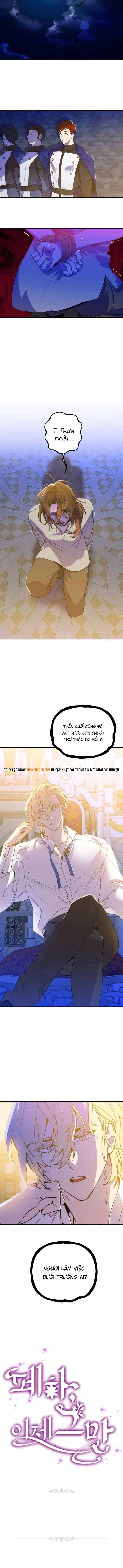 Your Majesty, Please Stop Now Chapter 2 - 11