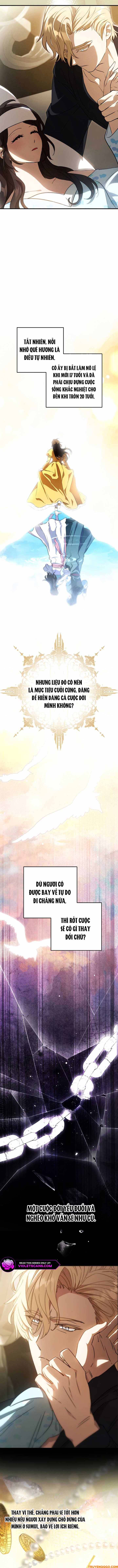 Your Majesty, Please Stop Now Chapter 19 - 11