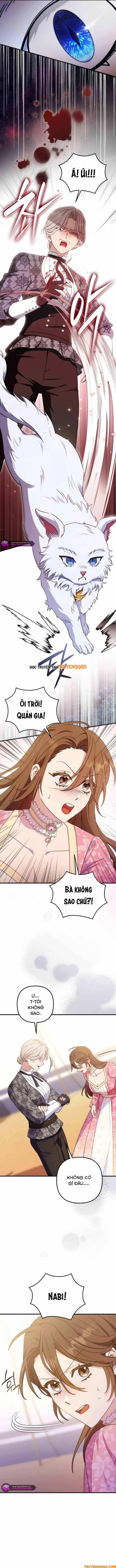 Your Majesty, Please Stop Now Chapter 28 - 9