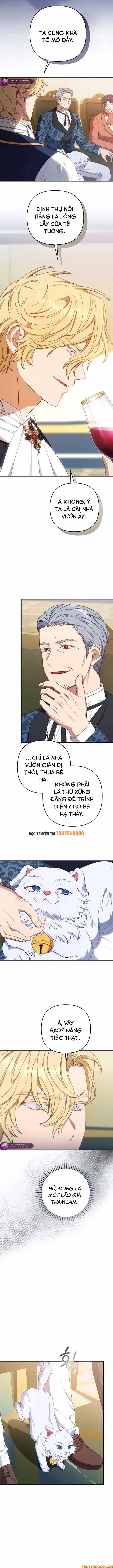 Your Majesty, Please Stop Now Chapter 29 - 7