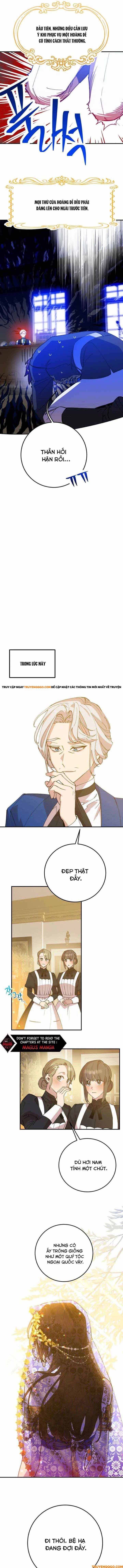 Your Majesty, Please Stop Now Chapter 5 - 11