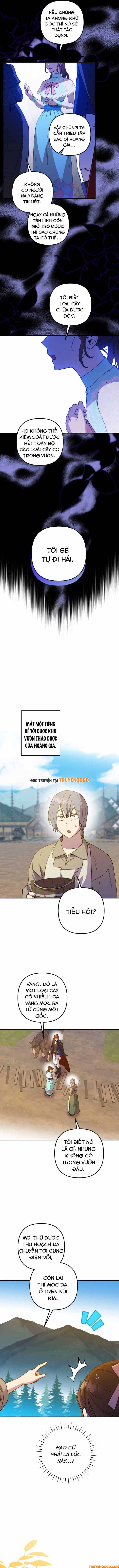 Your Majesty, Please Stop Now Chapter 17 - 8