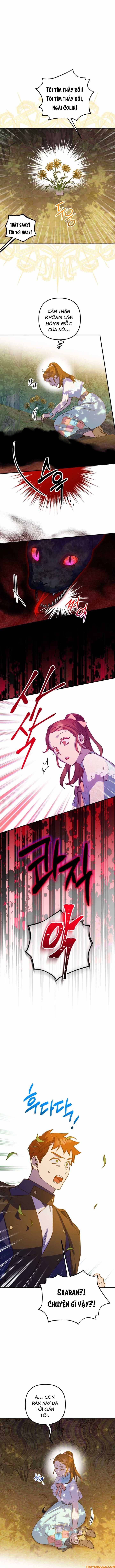 Your Majesty, Please Stop Now Chapter 17 - 12