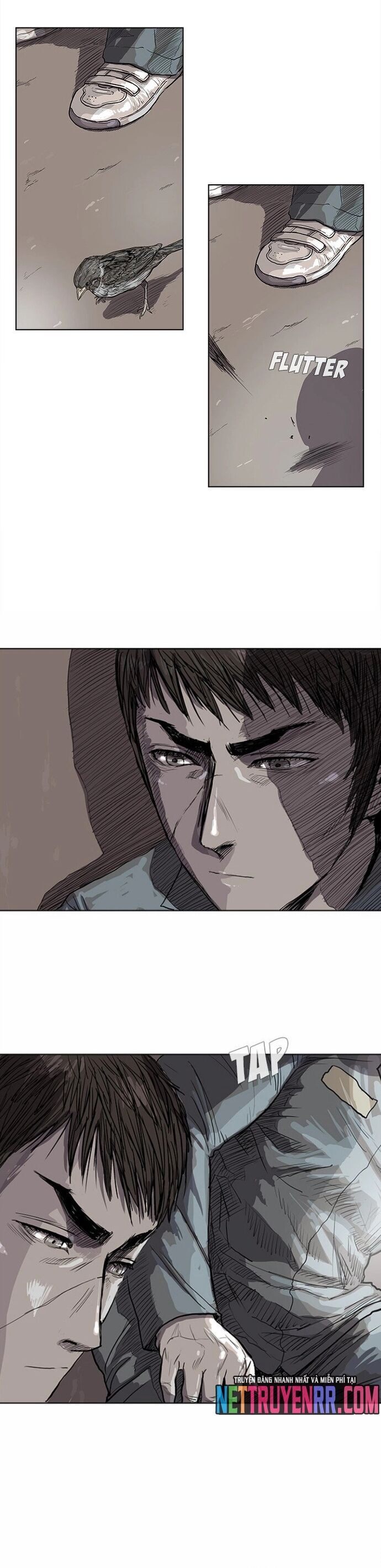 Miền Đất Xanh Chapter 16 - 9