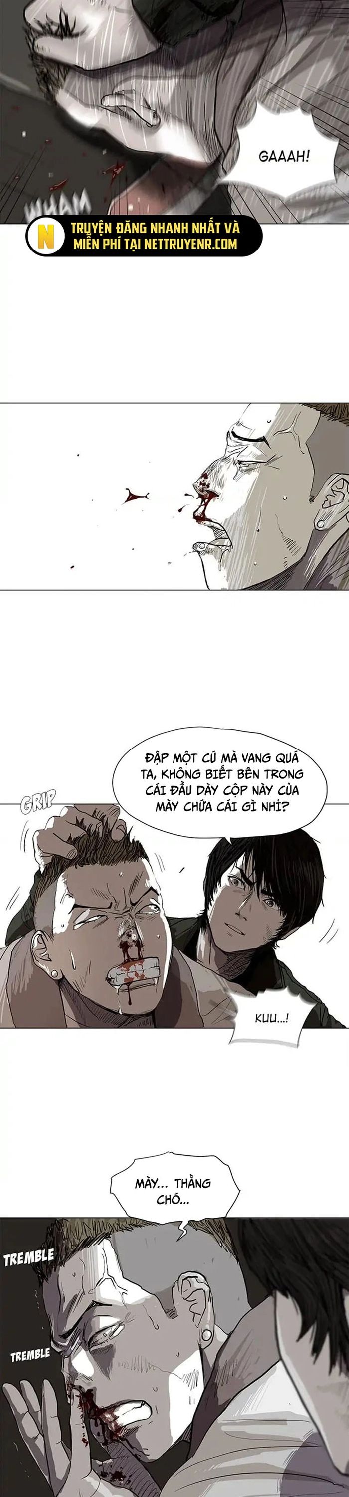 Miền Đất Xanh Chapter 2 - 13