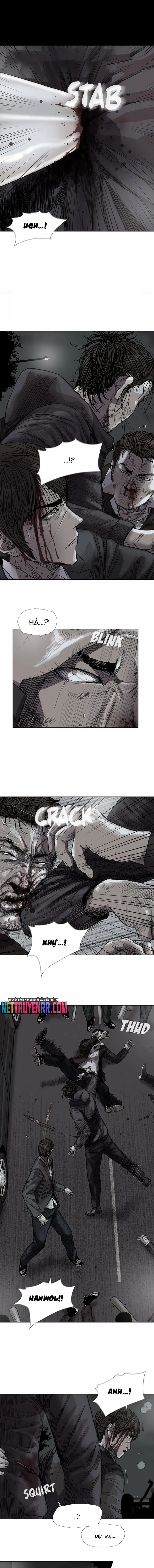 Miền Đất Xanh Chapter 31 - 4