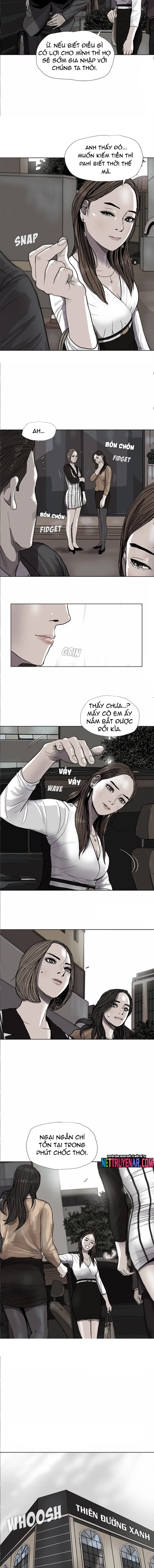 Miền Đất Xanh Chapter 37 - 8