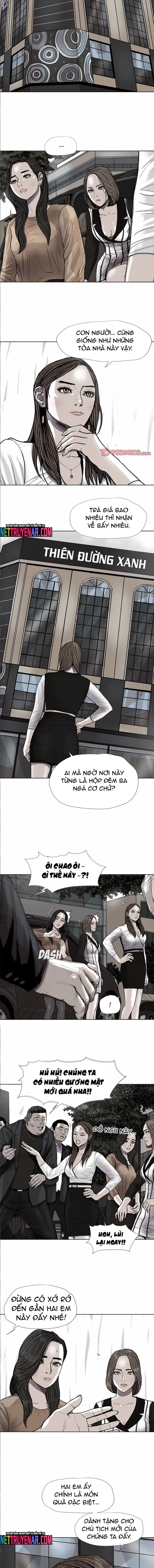 Miền Đất Xanh Chapter 37 - 9